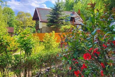 Casă cu 4 camere cu Teren 686 Mp în Vale - 2