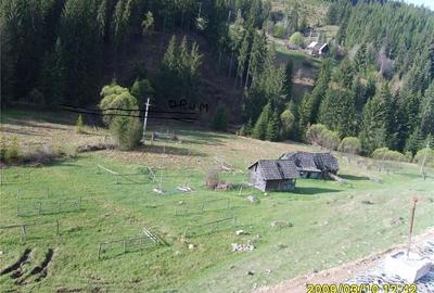 Teren de 7000 mp, în Iacobeni