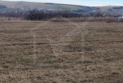 Teren Construcții intravilan de 8500 mp, în Jucu - 4