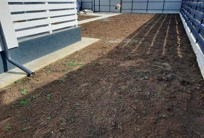 Casă individuală cu 3 camere cu Teren 450 Mp în Joița - 24