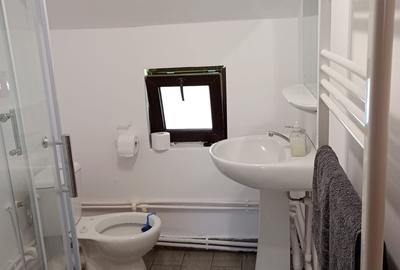 Casă cu 7 camere cu Teren 800 Mp în Beliș