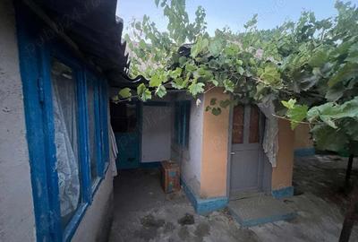 Casă cu 4 camere cu Teren 720 Mp în Mahmudia - 4