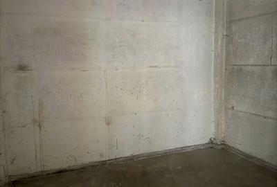 Spațiu comercial, de 163 mp, în Petros - 3