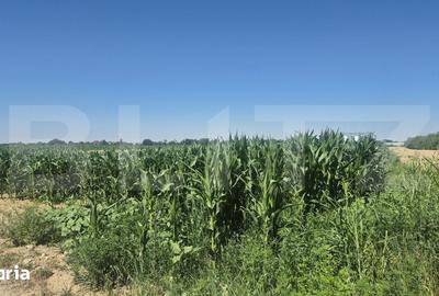 Teren de 5700 mp, în Odoreu - 2