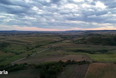 Teren de 1500 mp, în Tileagd