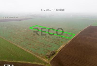 Teren de 5800 mp, în Nojorid - 4