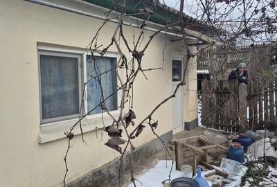 Casă cu 3 camere cu Teren 1631 Mp în Central