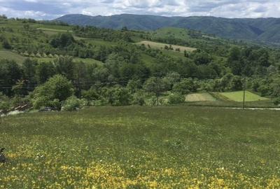 Teren de 879 mp, în Armeniș - 8
