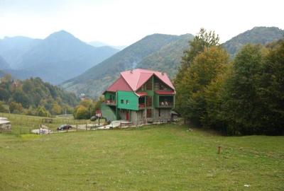 Casă individuală cu 15 camere cu Teren 1857 Mp în Lepșa - 1