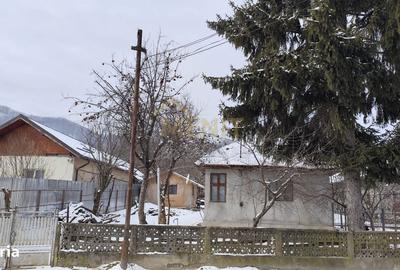 Casă cu 2 camere cu Teren 3300 Mp în Bobolia - 8
