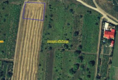 Teren Construcții intravilan de 1150 mp, în Exterior Nord