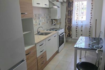 Apartament cu 2 camere semidecomandat în Vama - 5