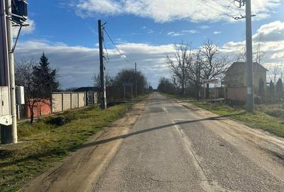 Casă cu 6 camere cu Teren 20000 Mp în Micula - 9