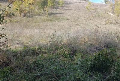 Teren de 7550 mp, în Mehadia