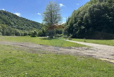 Teren de 1340 mp, în Cuejdiu - 1