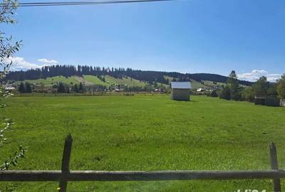 Teren de 9916 mp, în Coșna - 2
