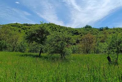 Teren de 2276 mp, în Drăgăneasa - 3