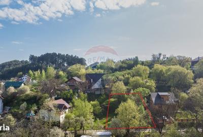 Spațiu comercial, în Turcheș - 7