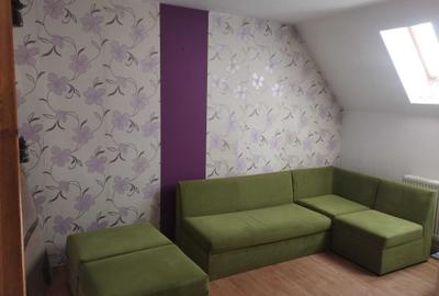 Apartament cu 2 camere decomandat în Nufărul