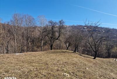 Teren de 4100 mp, în Secăria - 4