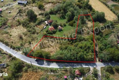 Teren de 3700 mp, în Poienarii de Argeș