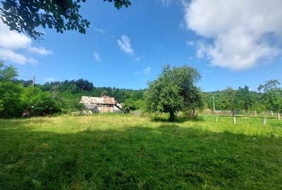 Teren de 1700 mp, în Vlădești - 3