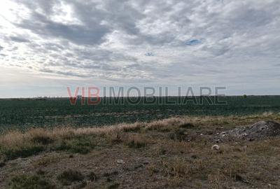 Teren de 13500000 mp, în Central - 6