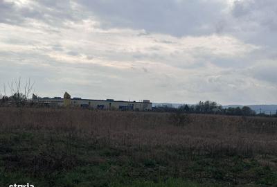Spațiu comercial, în Ernei - 2