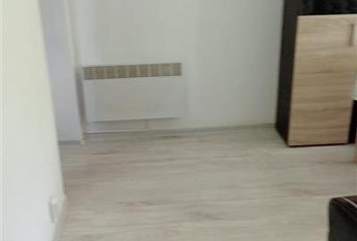 Apartament cu 2 camere semidecomandat, mobilat în Podu Roș - 2