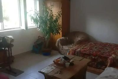 Casă cu 6 camere cu Teren 3200 Mp în Toporu - 2
