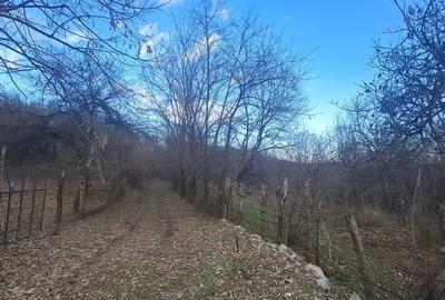 Teren de 4900 mp, în Central - 6