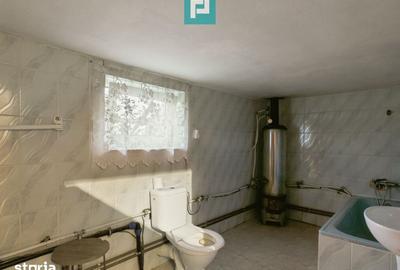 Casă cu 3 camere cu Teren 5000 Mp în Sânmartin - 3