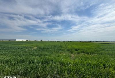 Teren de 5000 mp, în Ulmi - 2