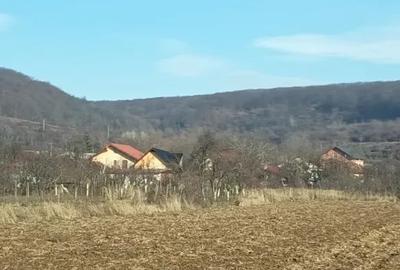 Teren în Central