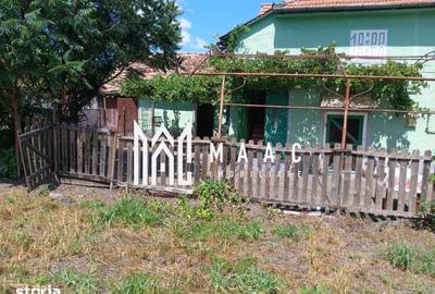 Casă cu 4 camere cu Teren 2000 Mp în Alțina - 4