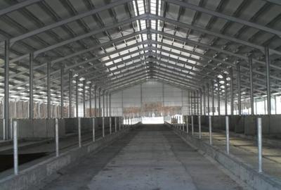 Spațiu industrial, de 11,600 mp, în Dej - 2