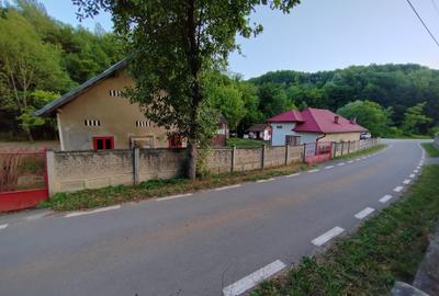 Casă individuală cu 4 camere cu Teren 8700 Mp în Băița - 6