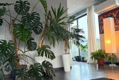 Apartament cu 3 camere semidecomandat, mobilat în Borhanci - 4