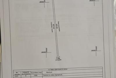 Teren extravilan de 15000 mp, în Tișița - 5