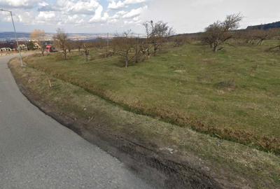 Spațiu comercial, în Feleacu - 1
