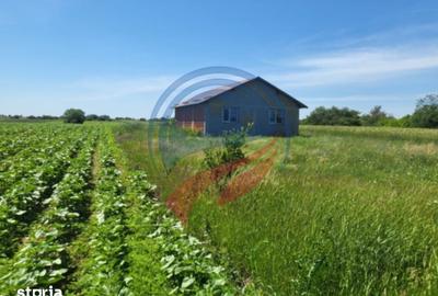 Casă cu 4 camere cu Teren 5100 Mp în Leu