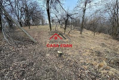 Casă cu Teren 3074 Mp în Cornu - 4