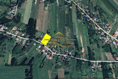 Teren Construcții extravilan de 1870 mp, în Crihan - 12