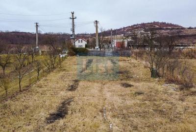 Teren Construcții intravilan de 1500 mp, în Bonț - 6