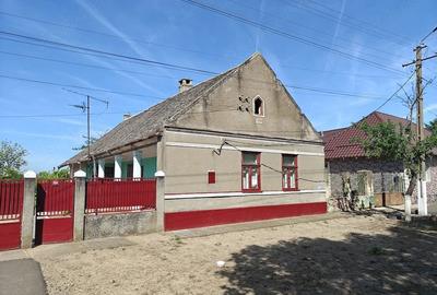 Casă cu 4 camere cu Teren 3200 Mp în Tomnatic - 2