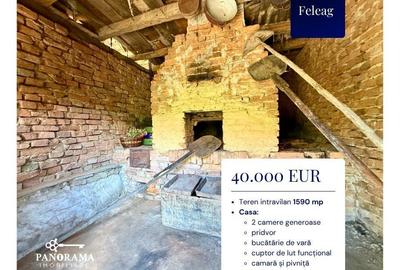 Casă cu 3 camere cu Teren 1590 Mp în Vânători - 2