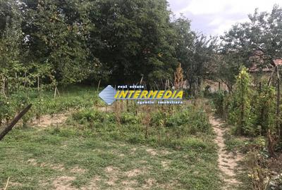 Casă individuală cu 3 camere cu Teren 1300 Mp în Cricău - 16