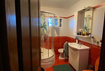 Apartament cu 2 camere semidecomandat în Central - 5