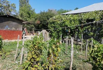 Casă cu 6 camere cu Teren 2800 Mp în Central