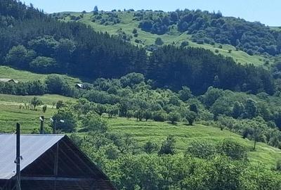 Teren de 5000 mp, în Chiojdu